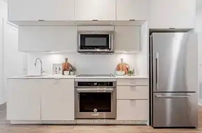 80 Vanauley Street Unit# 415 Toronto (Kensington-Chinatown) Ontario M5