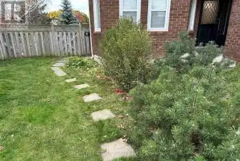 20 Mandel Cres Unit# Bachlr, Richmond Hill, Ontario L4C 9Z1, 2 Rooms Rooms,1 BathroomBathrooms,All Houses,Rented,Mandel,N10409388