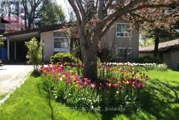 5 Cottonwood Dr, Toronto, Ontario M3C 2B3, 3 Bedrooms Bedrooms, 7 Rooms Rooms,2 BathroomsBathrooms,All Houses,Rented,Cottonwood,C10416620