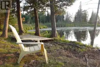 113 Julian Lake Rd, North Kawartha, Ontario K0L 3E0, 2 Bedrooms Bedrooms, 5 Rooms Rooms,2 BathroomsBathrooms,All Houses,Sold,Julian Lake,X10426596