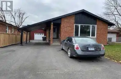 7 June Avenue Brampton (Queen Street Corridor) Ontario L6V1W2