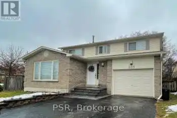 935 Birchwood Dr Unit# Lower, Newmarket, Ontario L3Y 6G9, 1 Bedroom Bedrooms, 1 Room Rooms,1 BathroomBathrooms,All Houses,Rented,Birchwood,N11917600