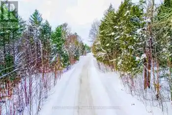 250 Turtle Lake Rd, Seguin, Ontario P2A 0B6, ,Commercial,Sold,Turtle Lake,X11945386