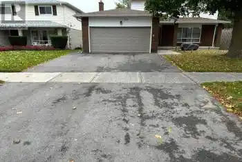 188 Mason Ave, Bradford West Gwillimbury, Ontario L3Z 1B2, 1 Bedroom Bedrooms, 2 Rooms Rooms,1 BathroomBathrooms,All Houses,Rented,Mason,N11975442