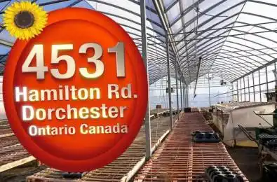 4531 Hamilton Road Thames Centre Ontario N0L 1G6