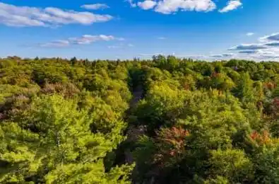 AXE LAKE Road McMurrich/Monteith Ontario P0A 1Y0
