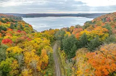 Lot 20 Flatwater Cove Trail N/A Dysart et al Ontario K0M 1S0