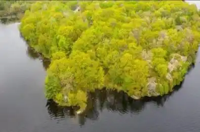 3600 Narrows Road Severn Ontario L0K 1E0