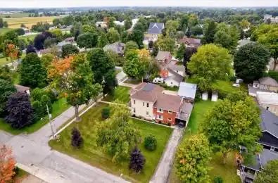 163 John Street Minto Ontario N0G 1Z0