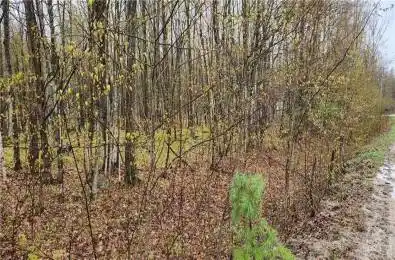 Lot 15 HOLLIE Drive Lanark Highlands Ontario K0G 1M0