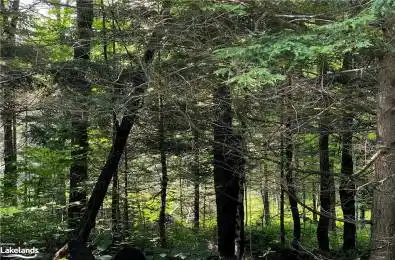 4655 ASPDIN Road Muskoka Lakes Ontario P0C 1J0