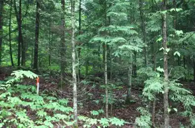 N/A Quarry Road Bancroft Ontario K0L 1C0