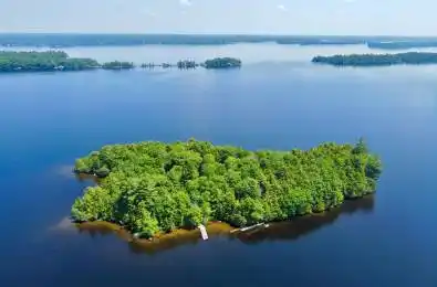 1 Cedar Island N/A Muskoka Lakes Ontario P0B 1J0