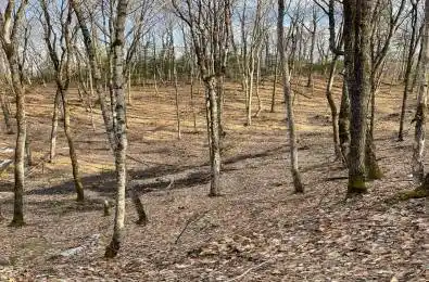 Brown Lane Faraday Ontario K0L 2L0