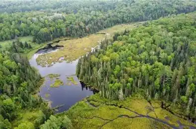 2263 Machar Strong Boundry Road Strong Ontario P0A 1Z0