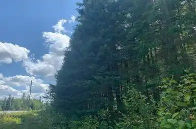 Lot 29 Highway 62 N/A Hastings Highlands Ontario K0L 1C0