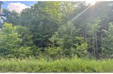 Lot 35 Viewmount Avenue Trent Hills Ontario K0L 1Z0