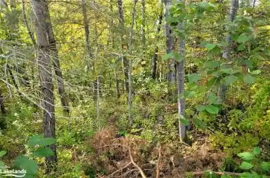 4 FOX RUN Lane Unit# 32 Huntsville Ontario P1H 1E3