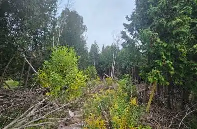 PT LT 23 Con 2 WBR PT 1 Highway 6 Highway Northern Bruce Peninsula Ont