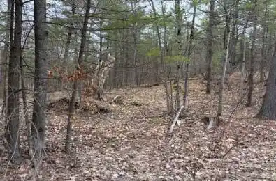 325 BRIDGEWATER Road Tweed Ontario K0K 2K0