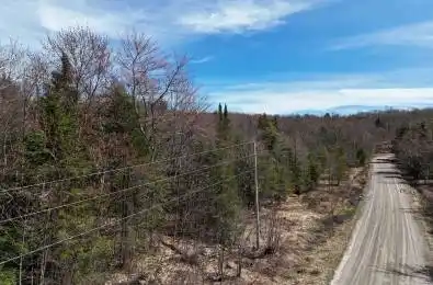 Peter Road Bracebridge Ontario P1L 1X3