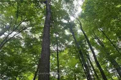 lot 2 Point Road McNab/Braeside Ontario K0A 3L0