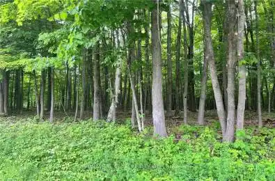 Lot 1 Point Road McNab/Braeside Ontario K0A 3L0