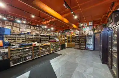85 Mccaul Street Toronto C01 Ontario M5T 2W7