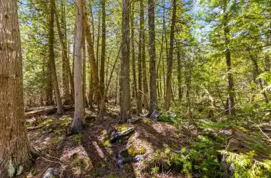 Pt Farm Lot 4 Chi Sin Tib Dek Road Northern Bruce Peninsula Ontario N0