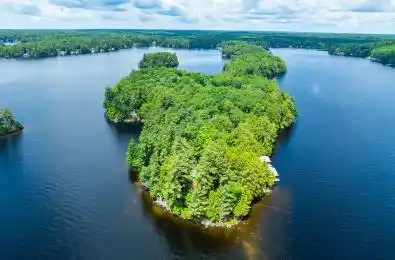 2 Island M2 Island Unit# Lots 1, 5 & 6 Muskoka Lakes Ontario P0B 1