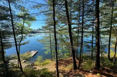 10789 Moorlands Bay (WAO) N/A Algonquin Highlands Ontario P0A 1E0