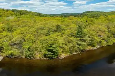1047 Alice Drive Algonquin Highlands Ontario P0A 1E0