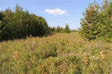 384551 CONCESSION 4 N/A West Grey Ontario N0C 1K0