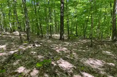 LOT 40 SUNSET Ridge Huntsville Ontario P1H 2J2