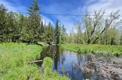 2348 Northeys Bay Road North Kawartha Ontario K0L 2H0