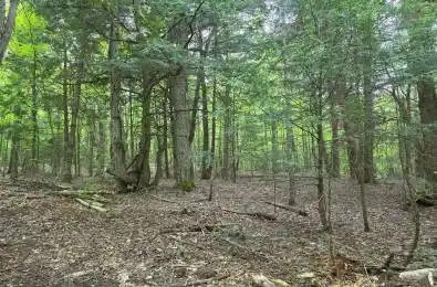 25th Line Road Algonquin Highlands Ontario K0M 1S0