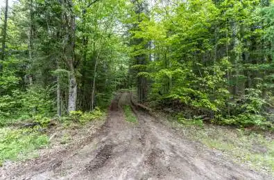 2524 Fern Glen Road McMurrich/Monteith Ontario P0A 1Y0