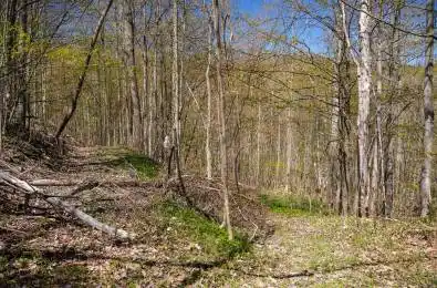 589901 Grey Road 19 Road Blue Mountains Ontario L9Y 0P5