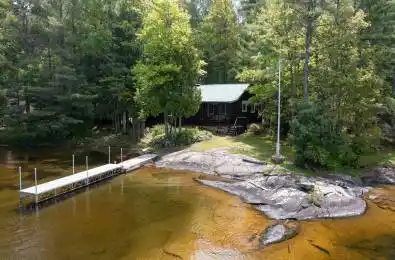 61 Arts Lane Georgian Bay Ontario L0K 1S0