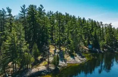 257 Tobin Island Muskoka Lakes Ontario P0B 1J0