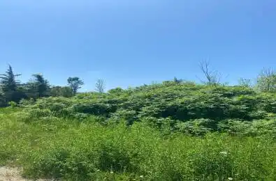 155 Hillside Drive Georgian Bay Ontario L0K 1S0