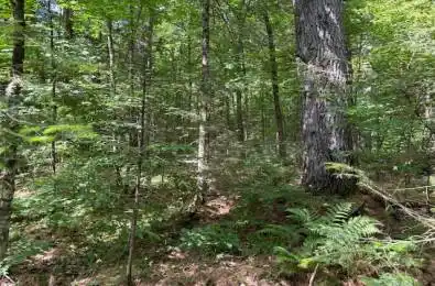 Forest Lake Road Sundridge Ontario P0A 1Z0