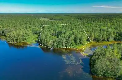 49 Harris Lake W/A N/A Parry Sound Remote Area Ontario P0G 1K0