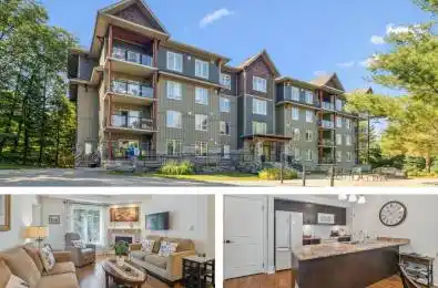 391B Manitoba Street Unit# 203 Bracebridge Ontario P1L 1B5