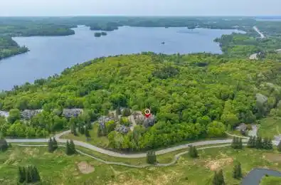 3831 Grandview Forest Hill Drive Huntsville Ontario P1H 2J5