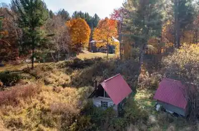 1236 Butter & Egg Road Muskoka Lakes Ontario P1L 1X4