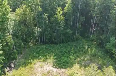 Lot 15 Scotts Hill Road West Grey Ontario N4N 3B9