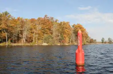 C280 Lower Buckhorn Lake N/A Unit# LOTS123 Trent Lakes Ontario K0L 1J0