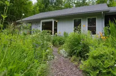823665 Massie Road Chatsworth Ontario N0H 1G0