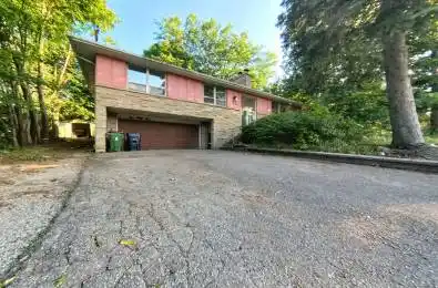 155 Steeles Avenue Unit# Main Fl Toronto C14 Ontario M2M 3Y5